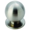 Stainless Steel Spherical Knob 25mm - Stainless Steel