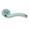 Squiggle Lever On Round Rose  - Satin Chrome