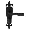 Barley Twist Lever On Gothic Wc Backplate - Black Antique