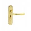 Ibra Lever On Backplate - Bathroom 57mm c/c - Stainless Brass