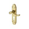 Heritage Brass Door Handle for Euro Profile Plate Savoy Design Polished Brass finish
