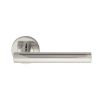 Straight Lever On Sprung Rose - Bright Stainless Steel