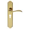 Madrid Lever On Euro Lock Long Backplate - Stainless Brass