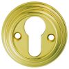 Delamain Euro Profile Escutcheon - Polished Brass