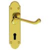 Oakley Lever On Lock Backplate - Stainless Brass