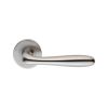 Lever On Sprung Rose - Satin Stainless Steel