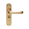 Ibra Lever On Wc Backplate - Satin Brass