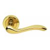 Apollo Lever On Round Rose  - Polished Brass