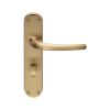 Lilla Lever On Wc Backplate - Satin Brass