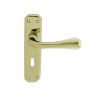 Eden Lever On Lock Backplate - Stainless Brass