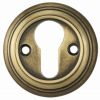 Delamain Euro Profile Escutcheon - Florentine Bronze