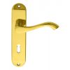 Andros Lever On Lock Backplate - Polished Brass