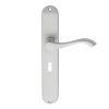 Andros Lever On Long Lock Backplate - Satin Chrome