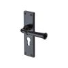 Black Iron Rustic Door Handle Euro Profile Plate Ashfield Design