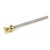 Polished Brass ended SS M6 110mm Threaded Bar