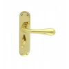 Astro Lever On Wc Backplate - Polished Brass