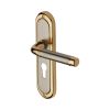 Heritage Brass Door Handle for Euro Profile Plate Saturn Design Jupiter finish
