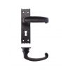 FF211 Traditional Slimline Thumb Lever on Lock Backplate