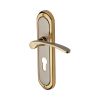 Heritage Brass Door Handle for Euro Profile Plate Ambassador Design Jupiter finish