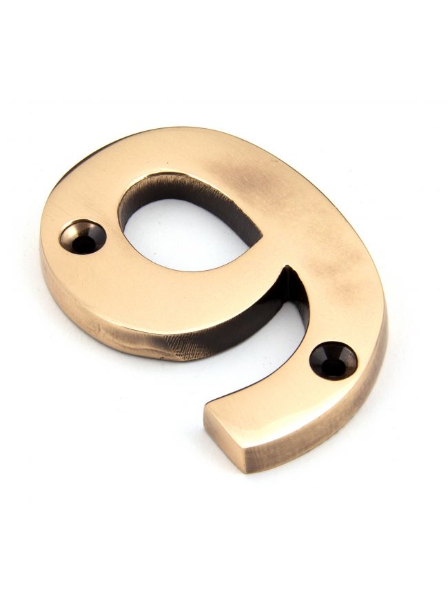 Polished Bronze Numeral 9