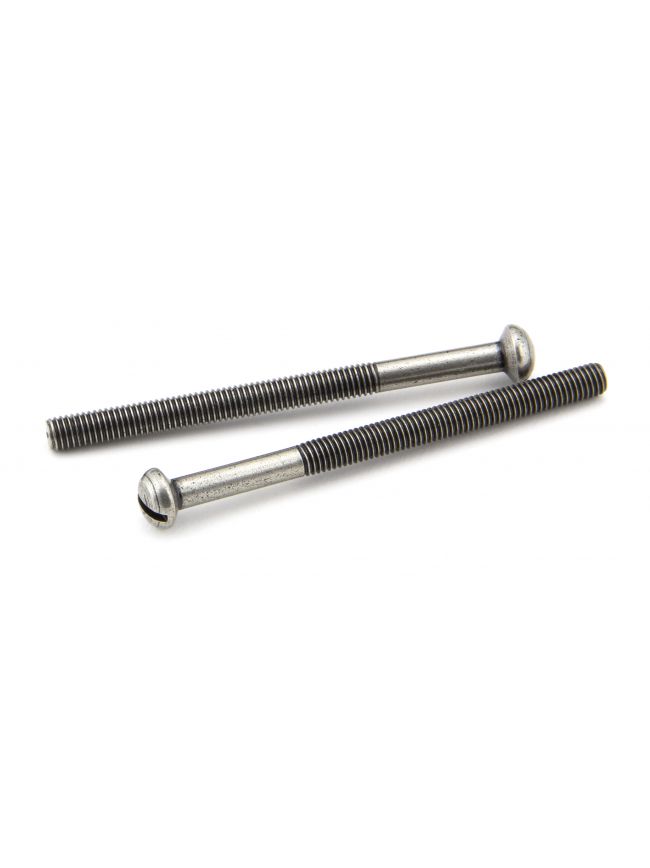 Pewter SS M5 x 64mm Male Bolts (2)