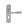 Eden Lever On Lock Backplate - Satin Chrome