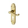 Project Hardware Door Handle for Euro Profile Plate Milton Design Polished Brass finish