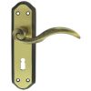 Wentworth Lever On Lock Backplate - Florentine Bronze