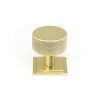 Polished Brass Brompton Cabinet Knob - 32mm (Square)