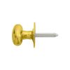 Oval Thumb Turn - Polished Brass