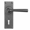 Pastow Lever Handle on Backplate (Lock/Keyhole) - Forged Steel