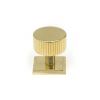 Polished Brass Judd Cabinet Knob - 32mm (Square)