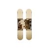 Ceam 3D Concealed Hinge 1130 - Galvanic Satin Brass