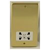 Eurolite Stainless Steel Shaver Socket Polished Brass