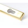 Polished Brass Brompton Slimline Lever Espag. Lock Set