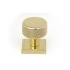 Polished Brass Brompton Cabinet Knob - 25mm (Square)