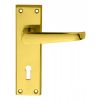 Victorian Lever On Lock Backplate - Polished Brass