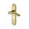 Heritage Brass Door Handle for Euro Profile Plate Algarve Design Polished Brass finish