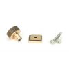 Polished Bronze Brompton Cabinet Knob - 25mm (Square)