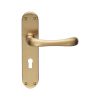 Ibra Lever On Lock Backplate - Satin Brass