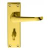 Victorian Ascot Lever On Wc Backplate - Polished Brass