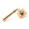 Polished Bronze Newbury Lever on Rose Set (Square)