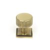 Aged Brass Judd Cabinet Knob - 25mm (Square)