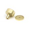 Polished Brass Judd Cabinet Knob - 32mm (Plain)