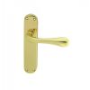 Astro Lever On Latch Backplate - Polished Brass