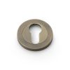 Alexander & Wilks - Concealed Fix Escutcheon Euro Profile - Italian Brass