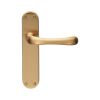 Ibra Lever On Latch Backplate - Satin Brass