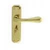 Eden Lever On Wc  Backplate - Polished Brass