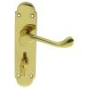 Oakley Lever On Wc Backplate - Polished Brass