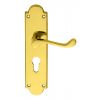 Victorian Scroll Lever On Shaped Euro Lock Backplate - Polished Brass